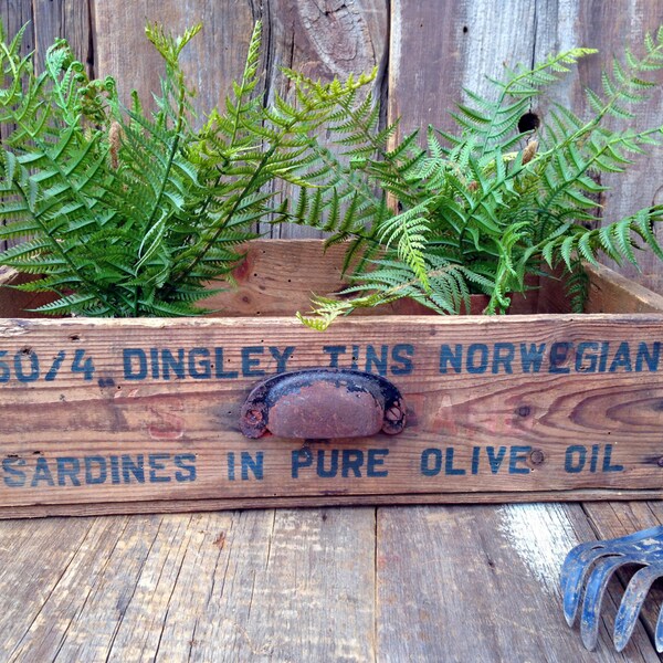 Neat Old Crate with Bin Pull Handle