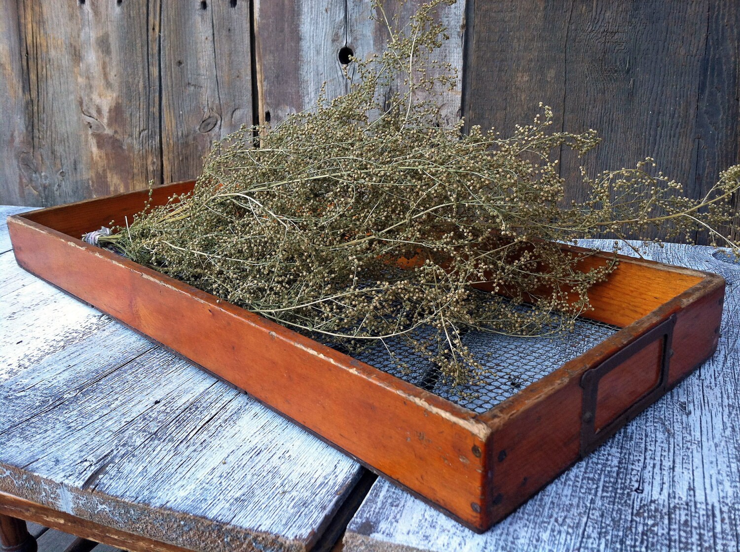 Nice Old Herb Drying Rack / Drawer / Screen Farm Find Etsy