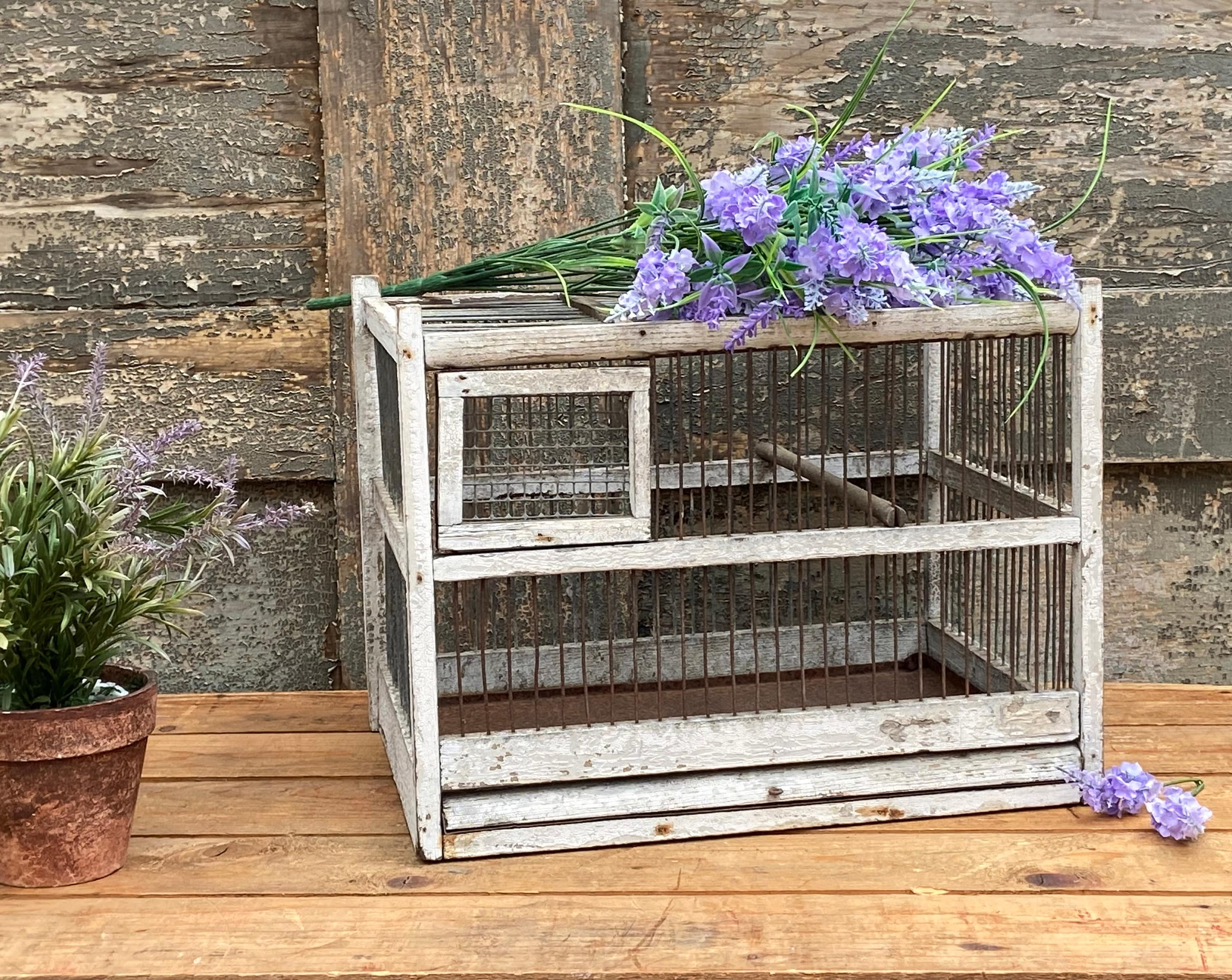 Antique Bamboo Hanging Bird Cage With Japanese Feathered Bird