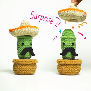 Op de afbeelding: Twee gehaakte cactusfiguren met zwarte snorren en lachende gezichten, een draagt een sombrero. Het woord "Surprise!!" staat erboven. De cactussen staan in geweven potten.