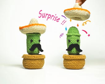 Surprise Cactus-haakpatroon, Surprise-haakpatroon, haakpatroon amigurumi-cactus, haakpatroon Surprise, haakpatroon Surprise, grappig haakpatroon