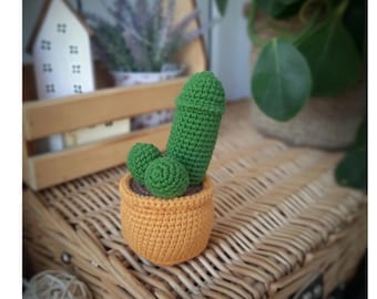 Haakpatroon penis amigurumi cactus, pluche penisgeklets, grappig pdf-patroon, haakpatroon penis, digitaal pdf-bestand direct downloaden