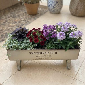 Peut inclure: Une jardinière rectangulaire en métal crème avec quatre pieds décoratifs, portant l'inscription SENTIMENT PUR 150 HHW 302 FEB 1-5-1956-/g. Elle contient diverses plantes, dont un feuillage violet foncé, des fleurs rouge profond et des fleurs lilas.