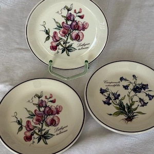 レア Villeroy & Boch Siena ディナープレート 2枚 公式サイト