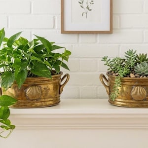 May include: Two oval brass planters with side handles and a shell motif embossed on the front. One planter holds a trailing green pothos plant, while the other contains a variety of small green succulents nestled among decorative brown pebbles.