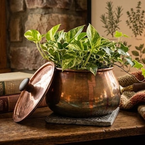 May include: A polished copper pot with a dark wooden handle and a matching lid, containing a lush green and white variegated pothos plant. The pot features a rounded body and a metallic finish, reflecting light across its curved surface.
