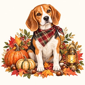 Peut inclure: Un chien beagle portant un bandana à carreaux rouges et verts est assis parmi un feuillage d'automne, incluant des citrouilles orange, des baies rouges, des glands bruns et des feuilles d'érable. Une lanterne en laiton allumée est posée.