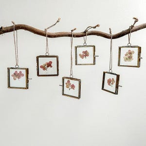 May include: Six square glass and metal frames hang from a natural branch. Each frame contains dried flowers in shades of pink and red. The frames are suspended by twine and are displayed against a white background.