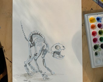 Cat Skeleton Drawing Etsy