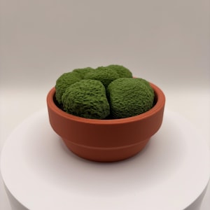 May include: A terracotta-colored ceramic pot filled with several green, textured, spherical objects. The pot has a simple, rounded design and sits on a white surface. The green spheres resemble small, mossy plants.