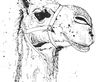 Camel - Ink Sketch, Ink Drawing, Pen and Ink, Black and White, Fine Art Print, Giclee, Original Art, Sahara Camel