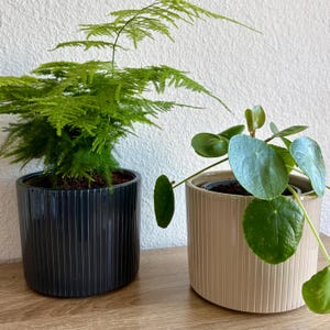 Maceta de cerámica bohemia - para macetas de Ø 13 cm - Decoración interior/exterior para plantas/plantas de interior - Escandinava, Japandi e Hygge - Textura acanalada