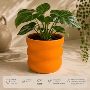 Pode incluir: Vaso de cerâmica laranja com design ondulado, contendo uma planta verde com folhas grandes. O vaso tem 17 cm de diâmetro e 15 cm de altura. Adequado para uso interno e externo.