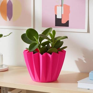 Può includere: Un'aiuola geometrica rosa vibrante con una piccola pianta verde con foglie arrotondate. L'aiuola è su una superficie di legno chiaro, con stampe d'arte astratta sullo sfondo. Un oggetto decorativo moderno per l'arredamento della casa.
