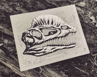 Dilophosaurus Art Print - Jurassic Dinosaur Gift - School Oddities Curiosities - Home Office World Decor - Condo Apartment Skull Poster