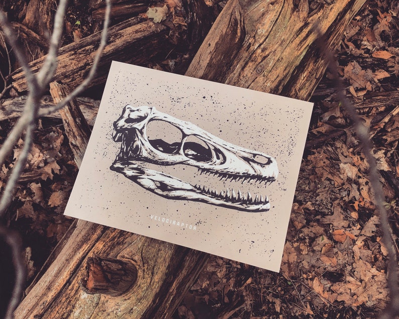 May include: A tan print featuring a detailed black and white illustration of a Velociraptor skull. The artwork has a speckled background and the word "VELOCIRAPTOR" is printed in a small font below the skull. The print is displayed on a wooden surface.