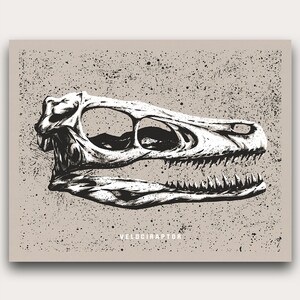 May include: A black and white illustration of a Velociraptor skull. The skull is detailed with visible teeth and eye sockets, set against a speckled, tan background. The word "VELOCIRAPTOR" is printed in white at the bottom.