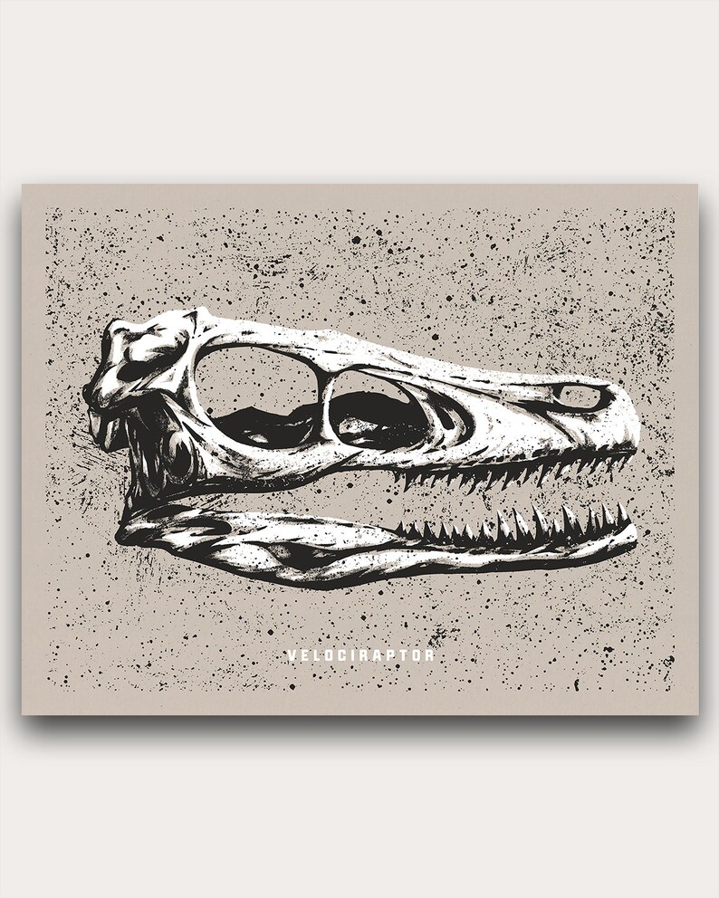May include: A black and white illustration of a Velociraptor skull. The skull is detailed with visible teeth and eye sockets, set against a speckled, tan background. The word "VELOCIRAPTOR" is printed in white at the bottom.