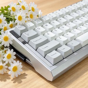 Puede incluir: Un teclado mecánico con marco de metal plateado y teclas blancas con letras negras. El teclado incluye teclas estándar como Esc, Tab, Caps Lock, Shift y Control. Un grupo de flores de margarita blancas con centros amarillos.
