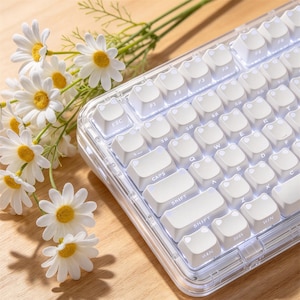 Puede incluir: Un teclado mecánico con marco transparente y teclas blancas que presentan pequeñas formas de orejas de gato en los bordes superiores. Las teclas están retroiluminadas con una luz blanca suave e incluyen caracteres alfanuméricos estándar.
