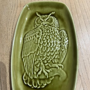 Pode incluir: Um prato retangular de cerâmica verde com um desenho de coruja em relevo. A coruja é detalhada com penas texturizadas e está centrada no prato. O prato tem um acabamento brilhante e está sobre uma superfície de madeira.