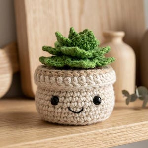 May include: A crocheted succulent plant in a cream-colored pot with a stitched smiling face. The plant features layered green leaves, while the pot has a textured rim and two small black plastic eyes with a thin black embroidered mouth.
