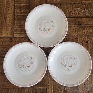 May include: Three white ceramic plates with a light blue and pink border. Each plate features a central design of geese and hearts. The plates are arranged on a wooden surface.