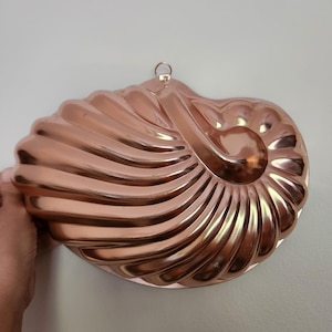 May include: A copper-colored metal baking mold shaped like a nautilus shell. The mold features a series of curved, raised ridges radiating from a central spiral point and includes a small metal loop at the top for hanging or storage purposes.