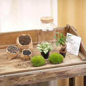 Planten terrarium - Little Milky + Led lamp ↑ 25 cm