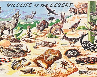 Postcard Wildlife of the Desert Unused