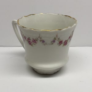 Carl Tielsch Altwasser Antique Demitasse Cup Footed  porcelain Germany CT Germany #9992 94
