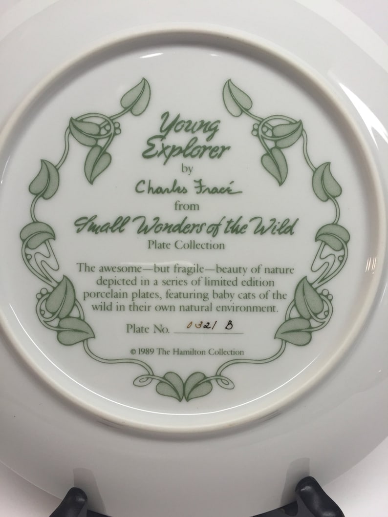 S by Charles Frace Young Explorer- Small Wonders of the Wild 8.5 Vintage W George Fine China