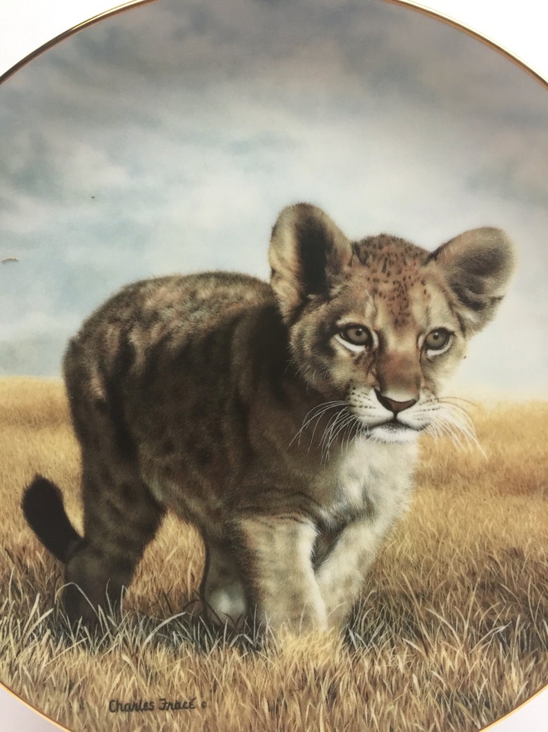 S by Charles Frace Young Explorer- Small Wonders of the Wild 8.5 Vintage W George Fine China