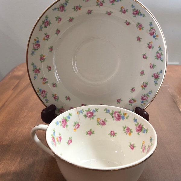 Vintage WS George Cup and Saucer Patrica Radison Shape Derwood Price Reduced to reflect a stress crack on the cup.