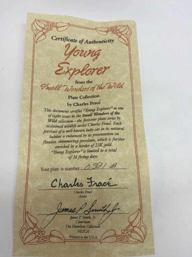 S by Charles Frace Young Explorer- Small Wonders of the Wild 8.5 Vintage W George Fine China