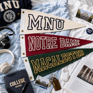 Aangepaste college geborduurde wimpel, aangepaste geborduurde varsity-brief, handgemaakte stoffen slaapzaalwimpel, studentenkamer decor, terug naar school geschenken