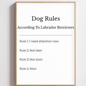 Może przedstawiać: Oprawiony wydruk z napisem „Dog Rules According To Labrador Retrievers”. Zasady to: „I need attention now”, „Not later”, „Not soon” i „Now”. Wydruk ma białe tło i jasnobrązową ramę.