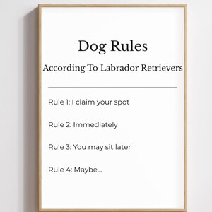 Könnte beinhalten: Ein gerahmter Druck mit dem Text "Dog Rules According To Labrador Retrievers". Die Regeln lauten: I claim your spot, Immediately, You may sit later, und Maybe...