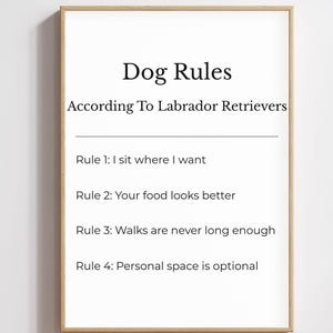 Może przedstawiać: Oprawiony wydruk z tekstem "Dog Rules According To Labrador Retrievers". Zasady to: Siedzę gdzie chcę, Twoje jedzenie wygląda lepiej, Spacery nigdy nie są wystarczająco długie, a przestrzeń osobista jest opcjonalna.
