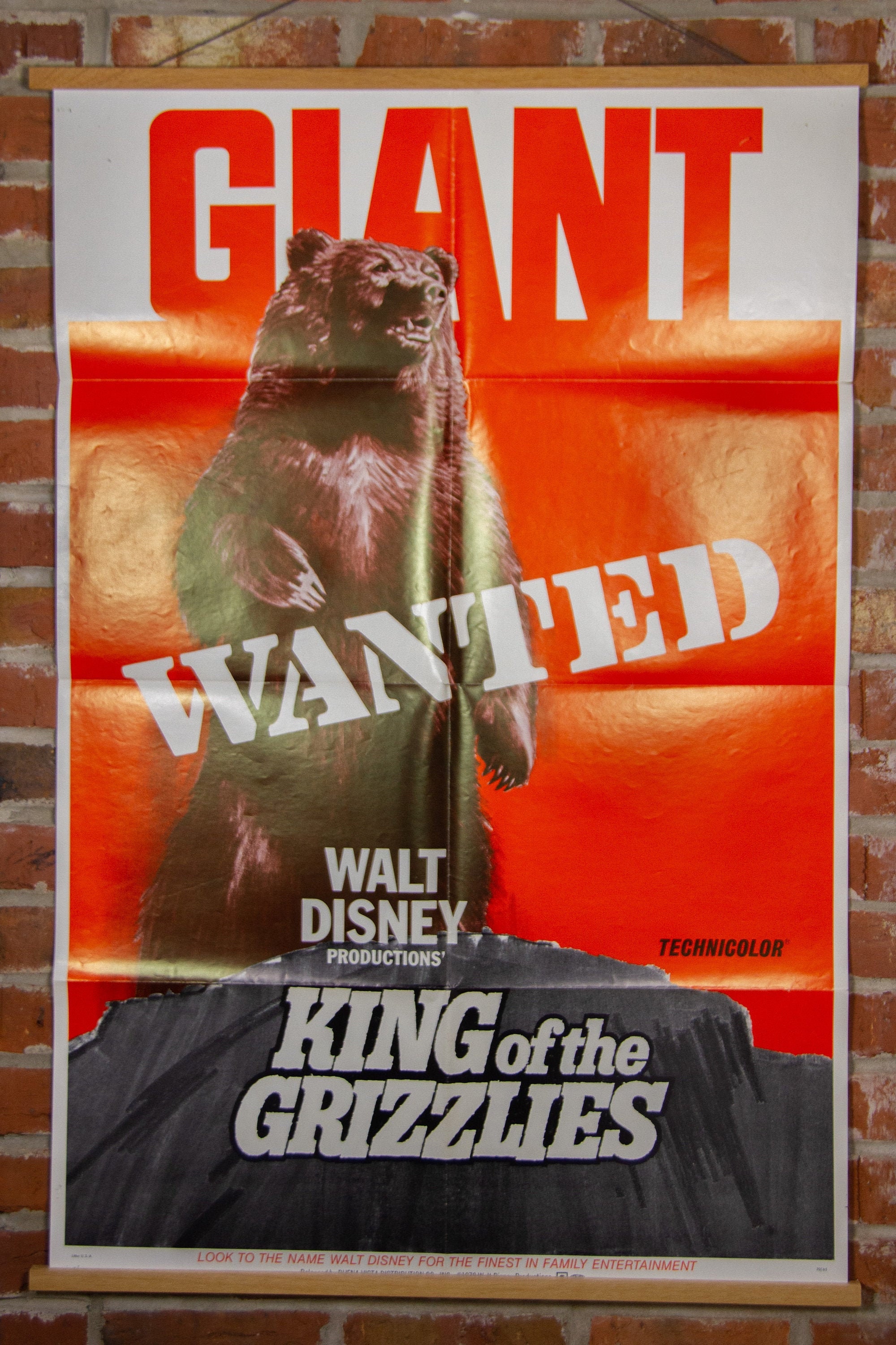 Walt Disney King of the Grizzlies Movie Poster From 1970- Original