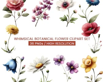 Set di clipart di fiori selvatici / 36 PNG botanici pastello (download digitale)
