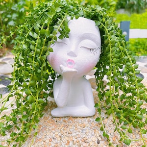 May include: A white head-shaped planter featuring a face with closed eyes, long eyelashes, and pink lips puckered in a blowing kiss gesture. The planter is filled with a trailing green plant with small, heart-shaped leaves that drape over the sides.