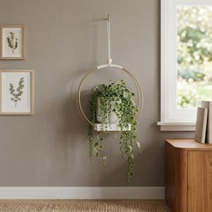 May include: A circular gold metal wall-mounted plant hanger with a white shelf holding a green trailing plant, three framed botanical prints on the wall, a wooden cabinet with books, a terracotta vase with dried grass, and a small ceramic bowl.