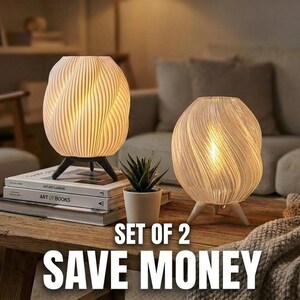 Set of 2 Artisan 3D Printed Lamps: Swirl, Flow, Ardo Decor