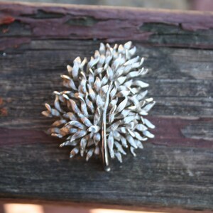 Puede incluir: Broche plateado con forma de hoja. El broche presenta un diseño detallado de hojas superpuestas, con un tallo central y un cierre de alfiler en la parte posterior. El broche está sobre una superficie de madera envejecida.