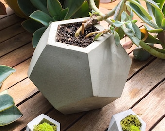 Large Concrete Planter, Geometric Concrete Planter, Dodecahedron, Concrete Succulent Planter, Modern Concrete Planter, Cement Planter