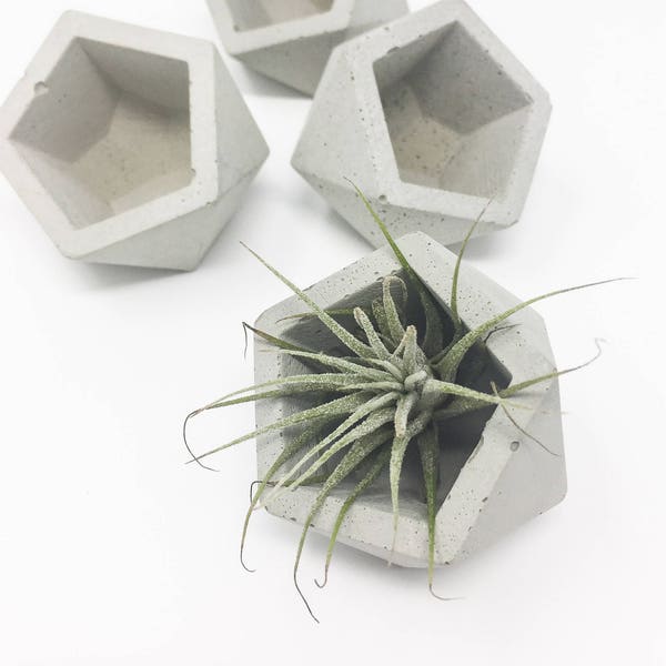 Geometric Concrete Planter, Dodecahedron, Concrete Succulent Planter, Modern Concrete Planter, Cement Planter, Mini Planter, Concrete Vessel