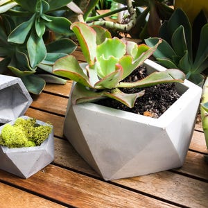 Large Concrete Planter, Geometric Concrete Planter, Icosahedron, Concrete Succulent Planter, Modern Concrete Planter, Cement Planter
