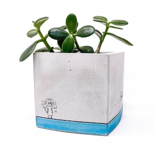 Concrete Planter, Square, Cube, Cat Planter, Concrete Succulent Planter, Cement Planter, Modern Concrete Planter, Small Concrete Pot