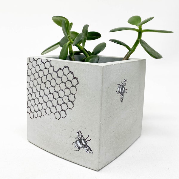 Concrete Planter, Square, Cube, Bees & Honeycomb Planter, Concrete Succulent Planter, Cement Planter, Modern Concrete Planter, Industrial